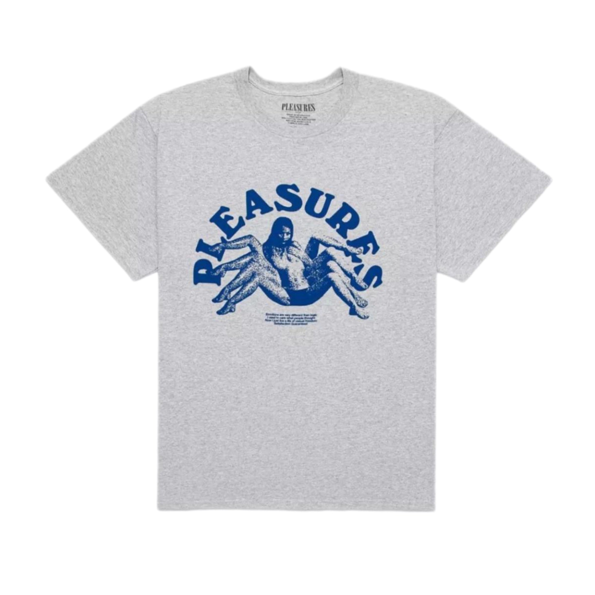 CAMISETA PLEASURES SPIDER [GRIS]